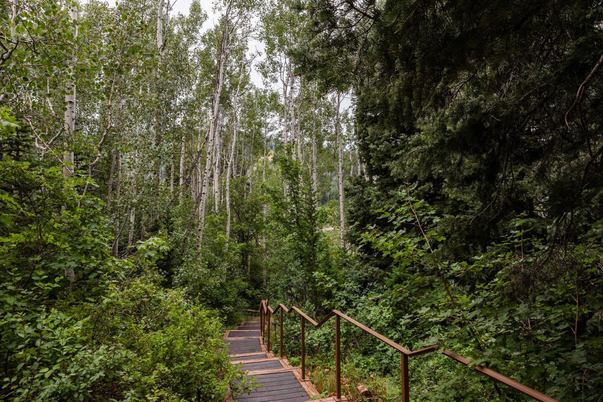 Deer Valley Little Belle Ultimate Ski Getaway, Sleeps 14, Luxury Design, Private Hot Tub, Park City Extérieur photo